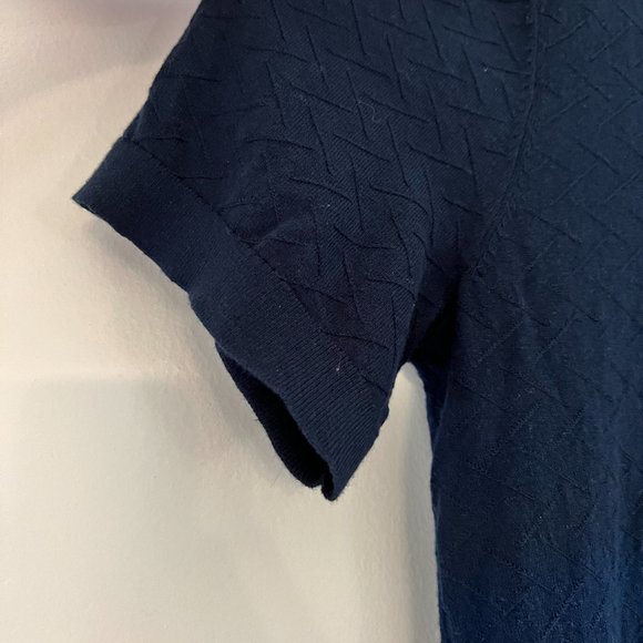 Express Zig Zag Cotton Short Sleeve Notch Polo Sweater (Large, Blue) - Picture 4 of 5